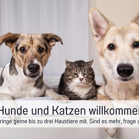 Ferienhaus Toepferhaus - Strandnah, Haustierfreundlich, Optimal Fuer Workation, Kaminofen, Garten, Fuer Paare Und Alleinreisende 斯泰恩伯格 外观 照片