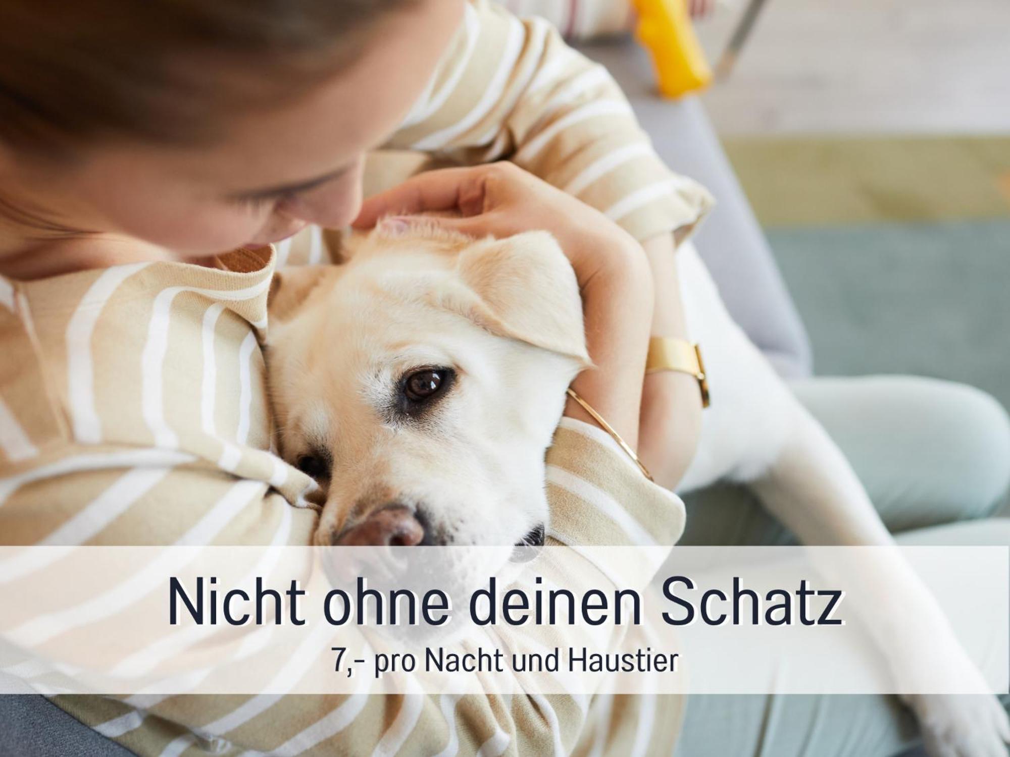 Ferienhaus Toepferhaus - Strandnah, Haustierfreundlich, Optimal Fuer Workation, Kaminofen, Garten, Fuer Paare Und Alleinreisende 斯泰恩伯格 外观 照片