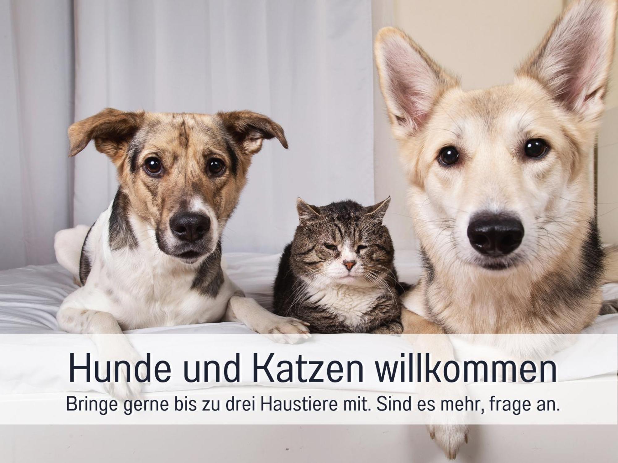 Ferienhaus Toepferhaus - Strandnah, Haustierfreundlich, Optimal Fuer Workation, Kaminofen, Garten, Fuer Paare Und Alleinreisende 斯泰恩伯格 外观 照片