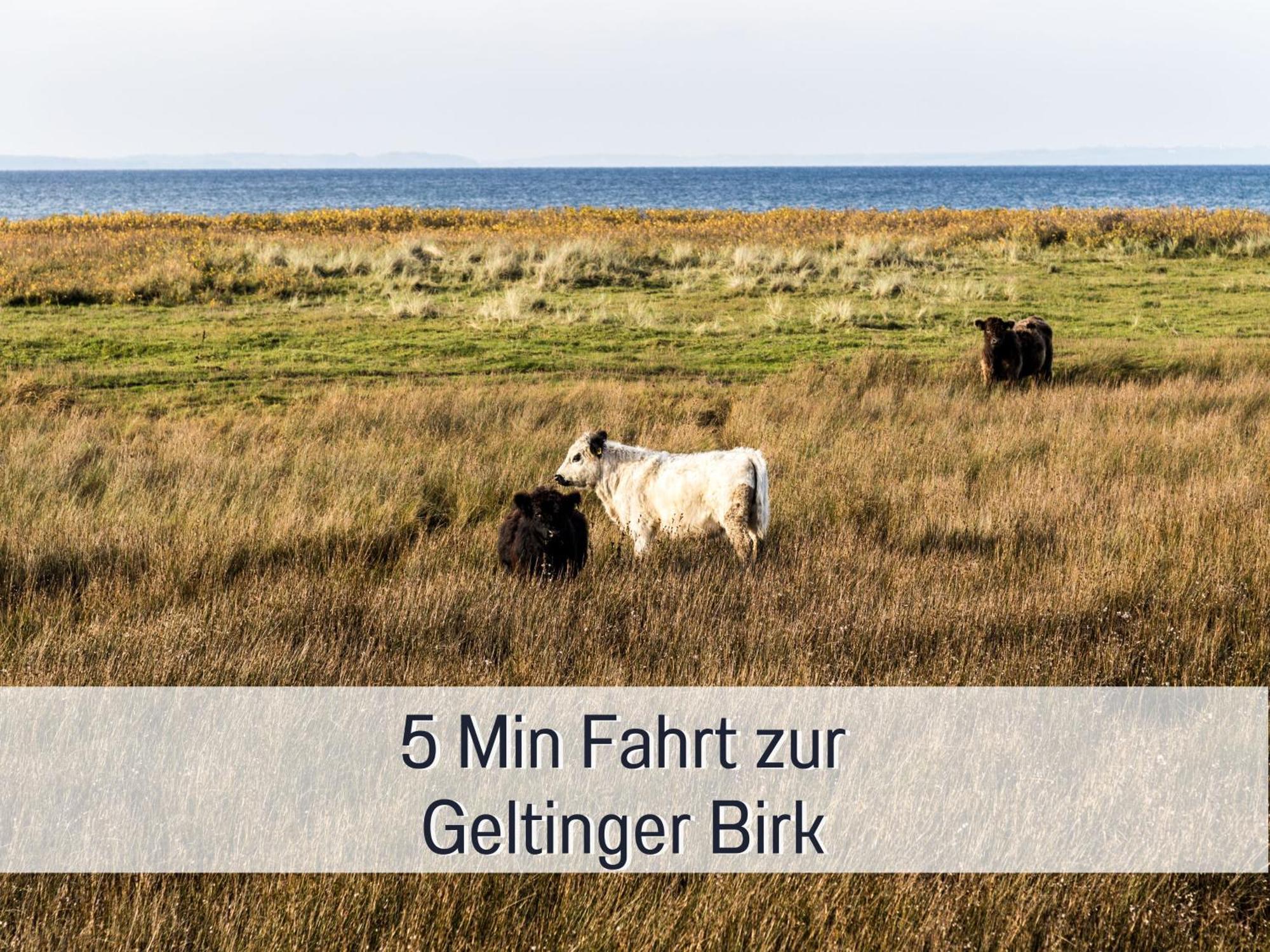 Ferienhaus Toepferhaus - Strandnah, Haustierfreundlich, Optimal Fuer Workation, Kaminofen, Garten, Fuer Paare Und Alleinreisende 斯泰恩伯格 外观 照片